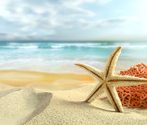 Sejur Insulele Capului Verde 2026