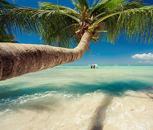 Republica Dominicana 2026